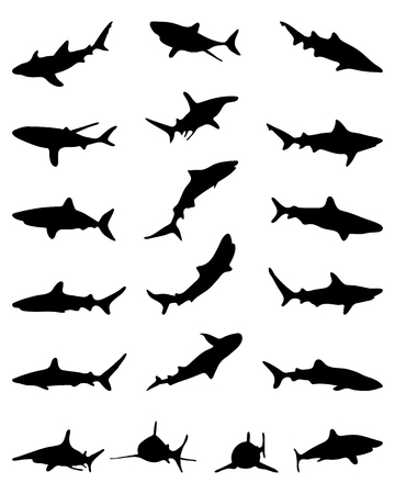 Black silhouettes of sharks, vectorのイラスト素材
