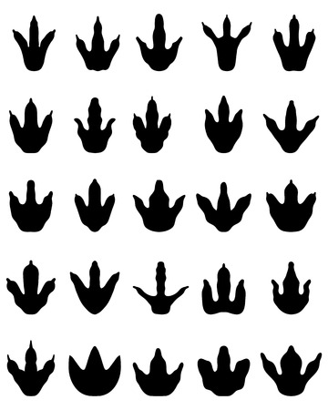 Black footprints of dinosaurs on a white backgroundのイラスト素材