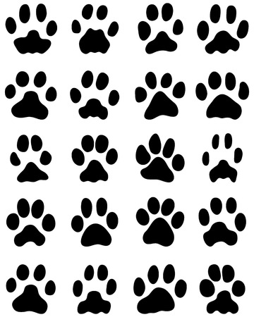 Black print of cats paws on white backgroundのイラスト素材