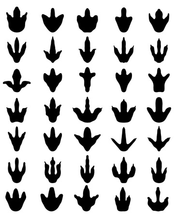 Black footprints of dinosaurs on a white backgroundのイラスト素材