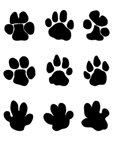 Black footprints of hippopotamus on a white backgroundのイラスト素材