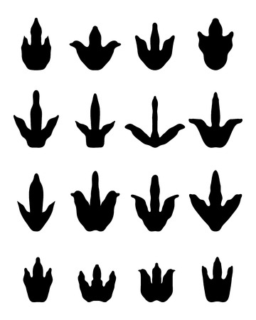 Black footprints of dinosaurs on a white backgroundのイラスト素材
