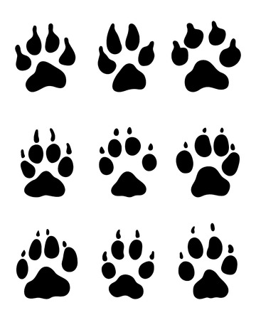 Black print of paw of dogs on a white backgroundのイラスト素材
