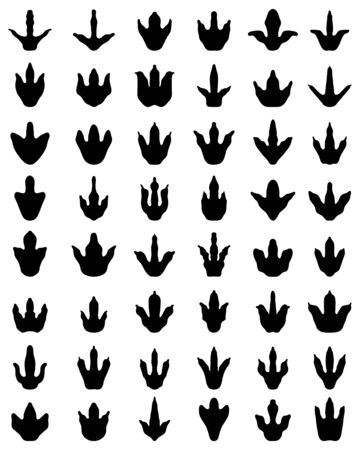 Black footprints of dinosaurs on a white backgroundのイラスト素材
