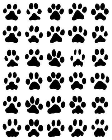 Black print of cats paws on white background, vectorのイラスト素材