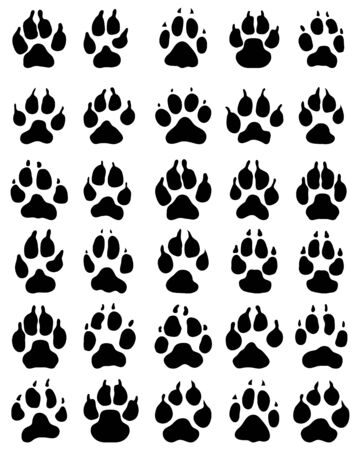 Black print of paw of dogs, vector illustrationのイラスト素材