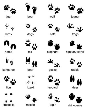 Set of footprints of wild animals, illustration of black silhouetteのイラスト素材