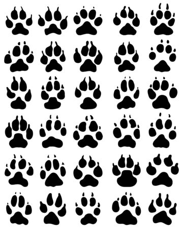 Black print of paw of dogs on a white backgroundのイラスト素材