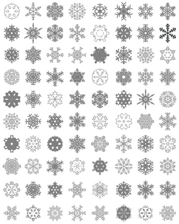 Set of different gray snowflakes on a white backgroundのイラスト素材