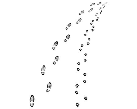 Footprints of man and dog, turn left or rightの素材 [FY310129185976]