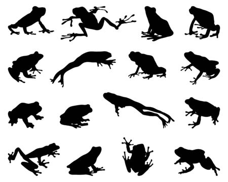 Black silhouettes of frogs on a white backgroundのイラスト素材