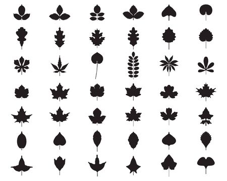 Black silhouettes of foliage on a white backgroundのイラスト素材