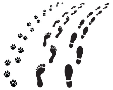 Footprints of man and dog, turning right or left, illustration on a white backgroundのイラスト素材