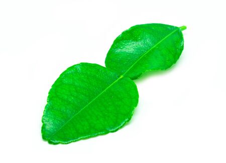Kaffir lime leaves on white backgroundの写真素材
