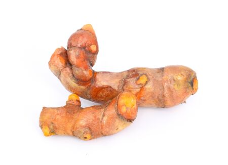 Fresh turmeric isolated on white backgroundの写真素材