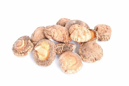 Dry Lingzhi on white background.の写真素材