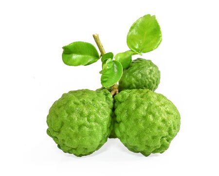 fresh bergamot fruit and leaf on white background.の写真素材