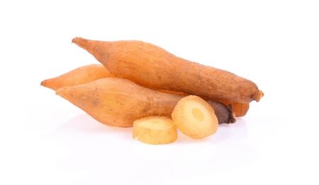 Fingerroot, Kaempfer, Boesenbergia on white backgroundの写真素材