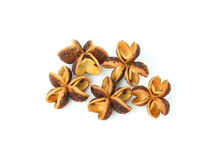 Dried Ma-khwaen Seeds suitable for thai foodの写真素材
