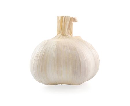 garlic on white background.