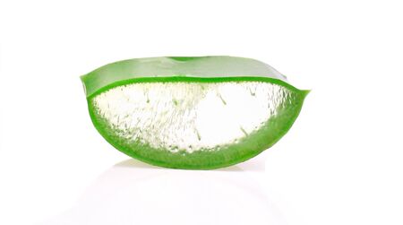Aloe Vera on white backgroundの写真素材