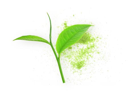 powder green tea and green tea leaf on white backgroundの写真素材