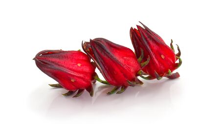 red roselle isolated on white backgroundの写真素材