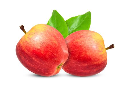 two red apples on white backgroundの写真素材