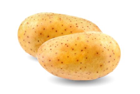 potato on white background.の写真素材
