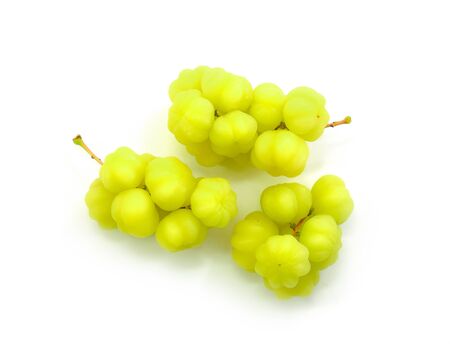 star gooseberry on white background.の写真素材