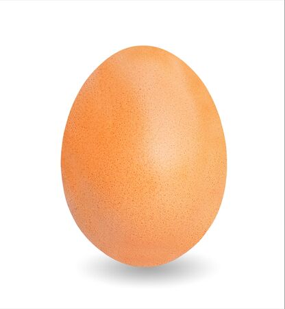 egg on white backgroundの写真素材