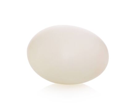 duck egg on white background.の写真素材