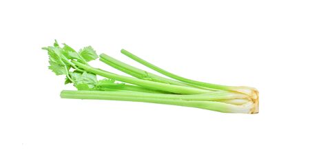 Celery on white background.の写真素材