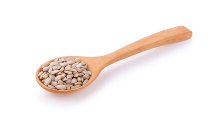 sunflower seeds in wooden spoon on white background.の写真素材