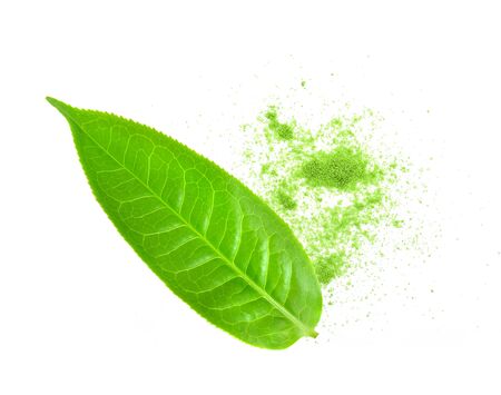 Fresh tea leaves on a white backgroundの写真素材