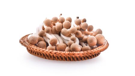 Bunashimeji mushroom isolated on white background.の写真素材