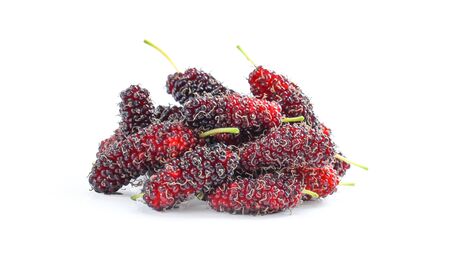 Mulberry is a sweet fruit which It is on white background.の写真素材