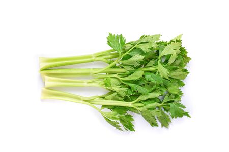 fresh celery on white background.の写真素材