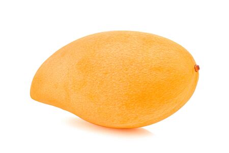 Mango on white background.の写真素材
