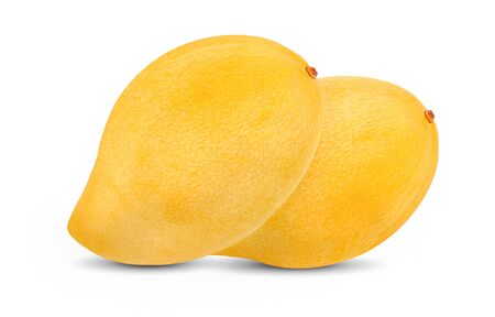 Mango on white background.の写真素材