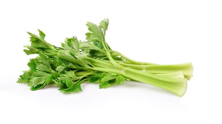fresh celery on white background.の写真素材