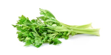 fresh celery on white background.の写真素材