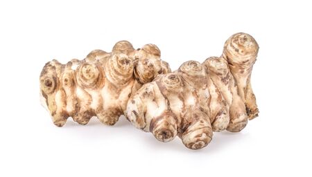 sunchoke isolated on the white background.の写真素材