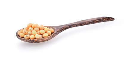 Soy bean in spoon on white background.の写真素材