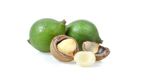 macadamia nuts isolated on white background.の写真素材