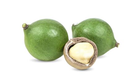 macadamia nuts isolated on white background.の写真素材