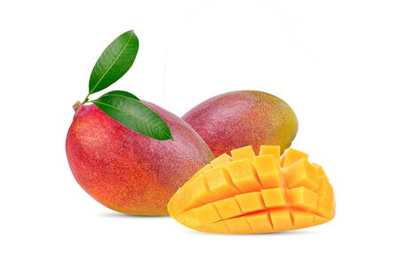 Fresh green  plum mango leaves isolate on a white background.の写真素材