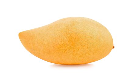 Mango on white background.の写真素材