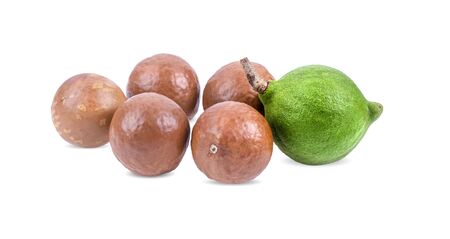 macadamia nuts isolated on white backgroundの写真素材