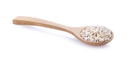 Sun flower seed on wood spoon isolated on white background.の写真素材